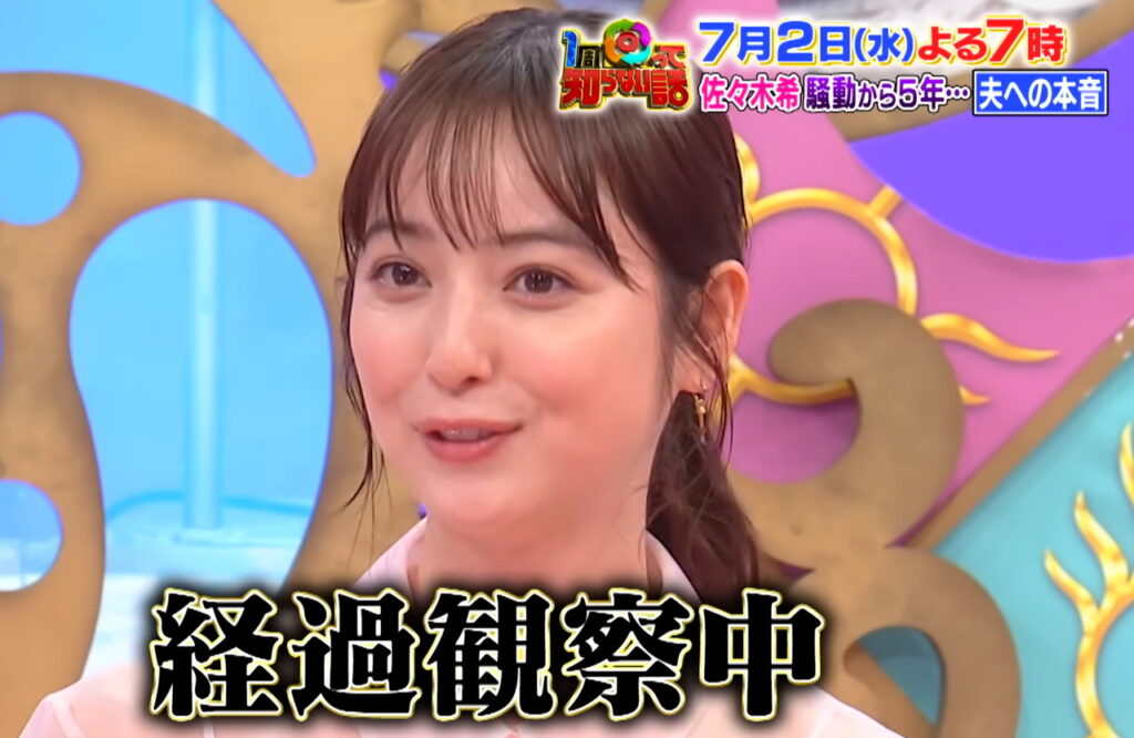 佐々木希 渡部建 多目的トイレ不倫 日テレ公式チャンネルより